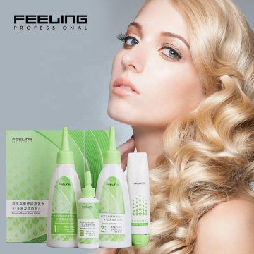 OEM Professional Hair Curly Perm Products for Salon Use