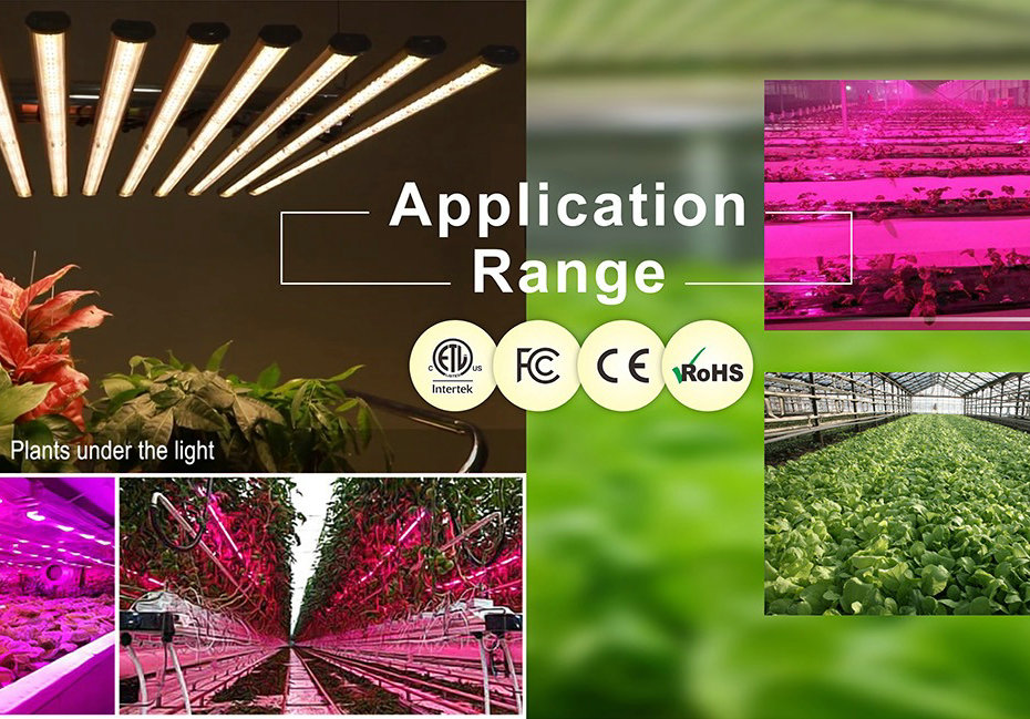 led grow light application