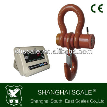 30ton Crane Scale