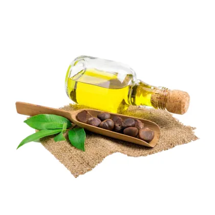 Massage Use Base Oil camellia oleifera seed oil