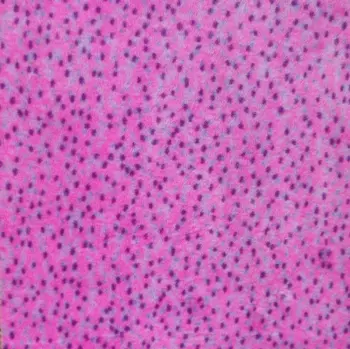 100% Polyester Printed Bunny Fleece Fabric