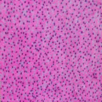 100% Polyester Printed Bunny Fleece Fabric
