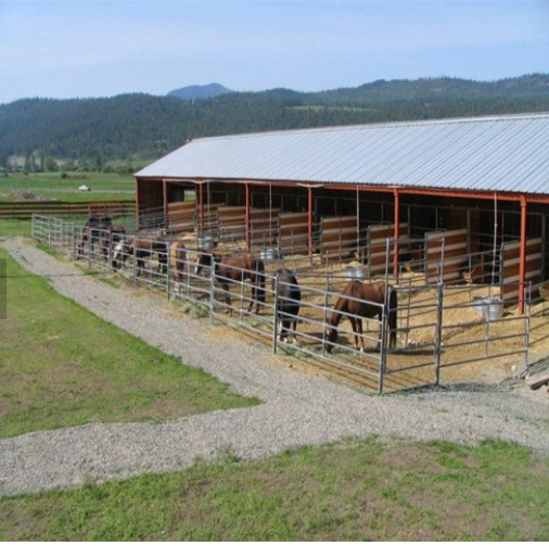 Esgrima de caballos para la venta