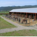 Venta al por mayor Horse Fencing For Sale