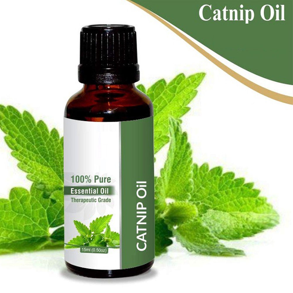 Wholesale 100% pure catnip essential oil bulk price