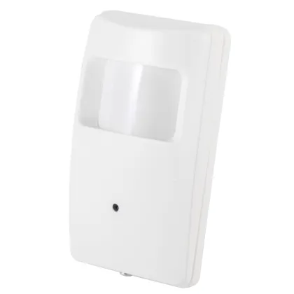 Security Mini Camera