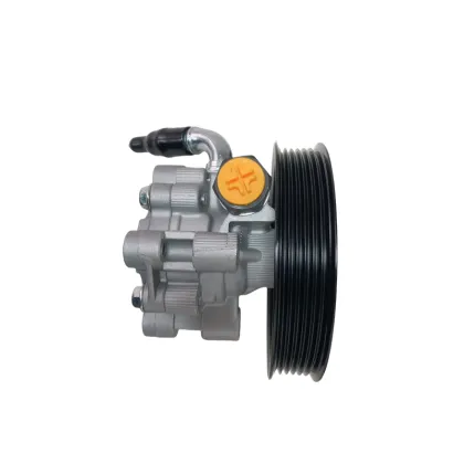 Wholesale Auto Power Steering Pumps 4743060AA-4743060AE 21-5223