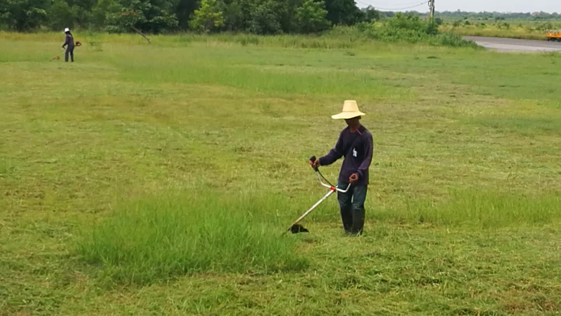 Desbrozadora 411 de 40,2 cc para la agricultura