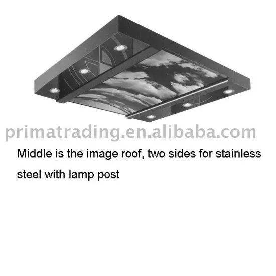 Elevator Ceiling PSM-450