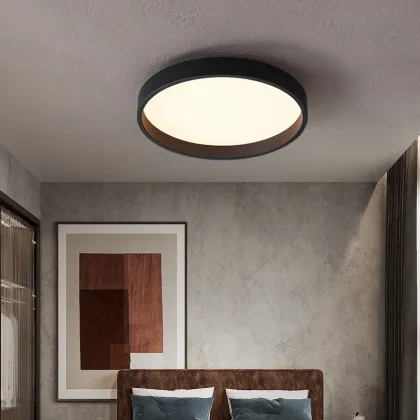 Latest Design Hot Sale LED Light Designer Ceiling Lamp Decor - New Arrival