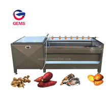 Turmeic Washing Peeling Polishing Machine Turmeic Washer