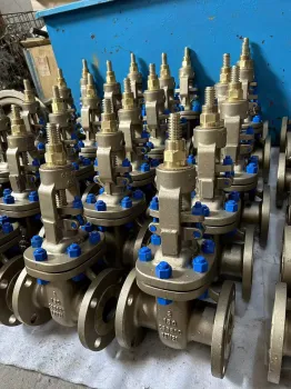 B148 C95800 Gate Valve