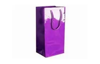 Pantone Print Gloss Finish Paper Wine Bags For Holiday , Ch
