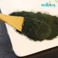 Organic Spirulina Extract Pure natural Spirulina Powder