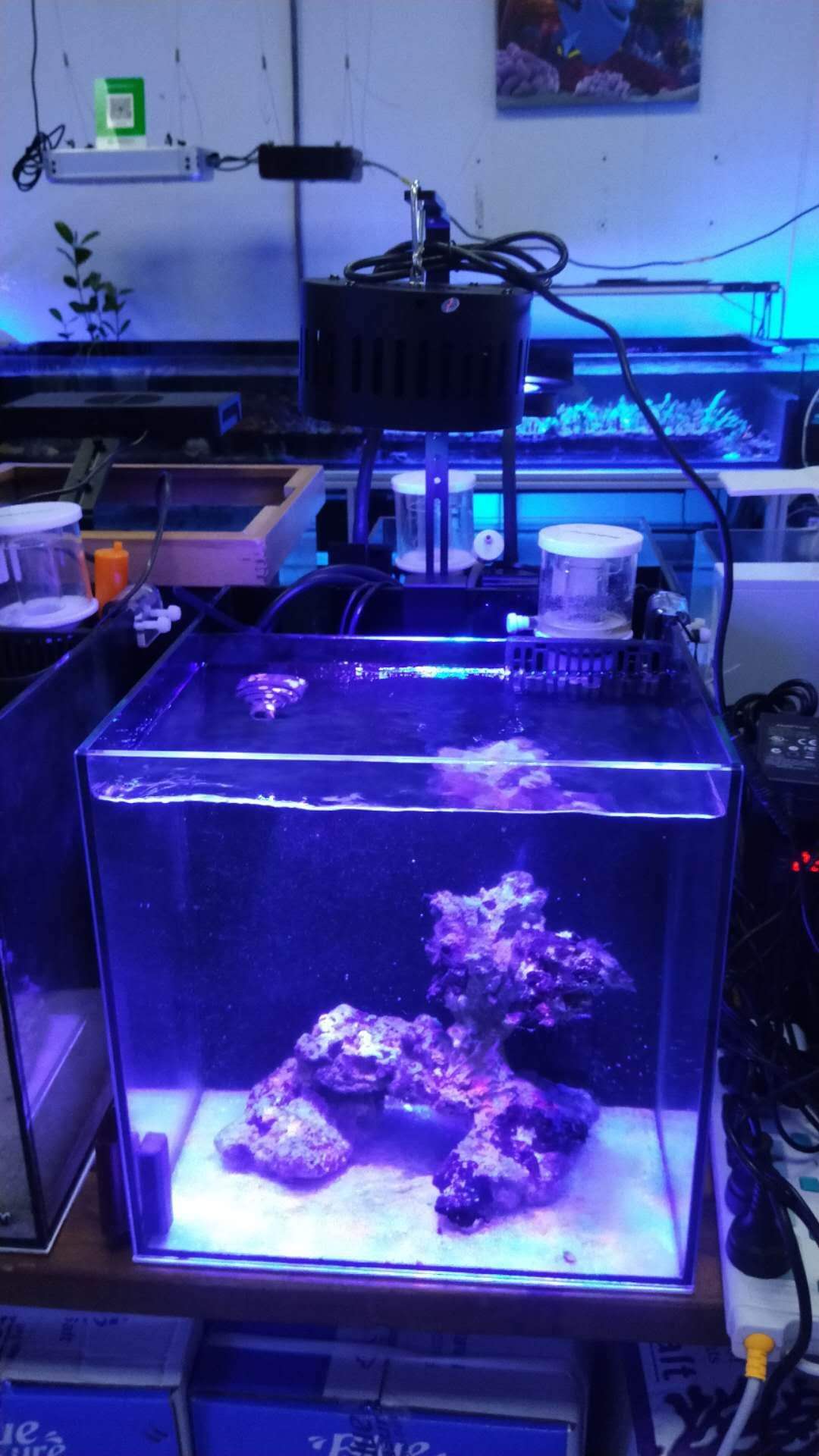 48 Inch Aquarium Light