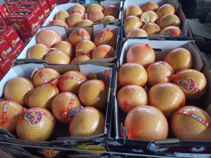 Fresh Pomelo New Crop