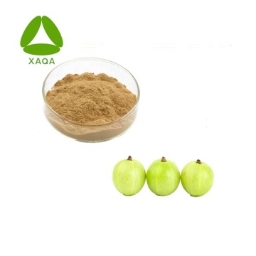 Phyllanthus Emblica Fruit Extract Powder 10:1