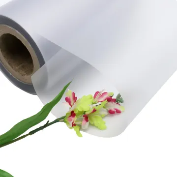 EcoEdge Matte Transparent PET Roll Film Printing