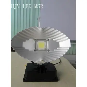 Aluminum LED Floodlight MSR 30W