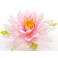 Huile essentielle de lotus OEM