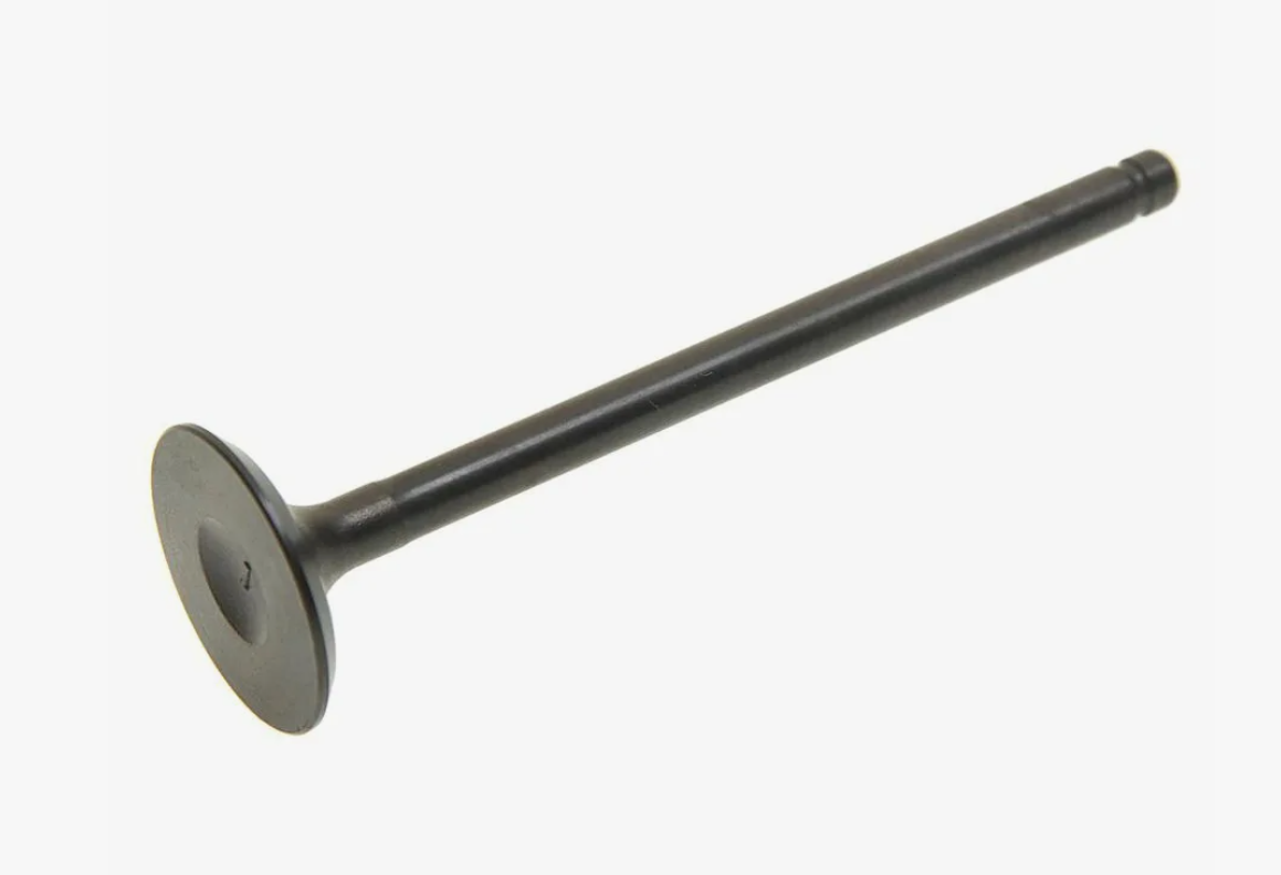 25182287 Intake Valve for Engine