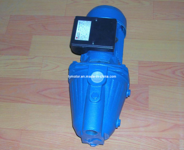 China Factory 1HP Jet Self-Priming Pump for Garden