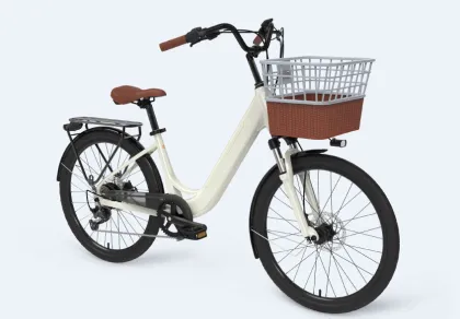 Customized Yeti E Bike Lady