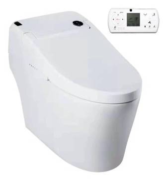Modern European One-Piece Smart Toilet with Remote Control and Sensor