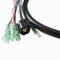 Automobile Igniter Wire Harness