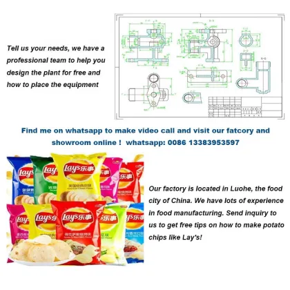 KFC and McDonald's Potato Chips and French Fries Production Line
