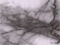 Tekstur Batu Desain Marmer PVC Film Dekoratif