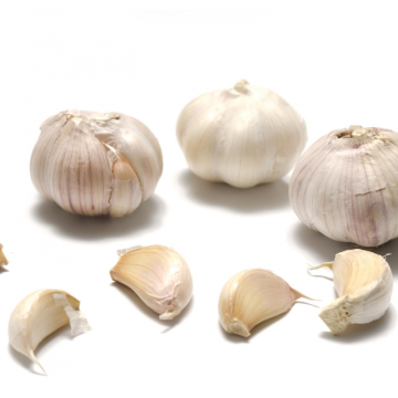 2021 Frischer Knoblauch in loser Schüttung normal weiß