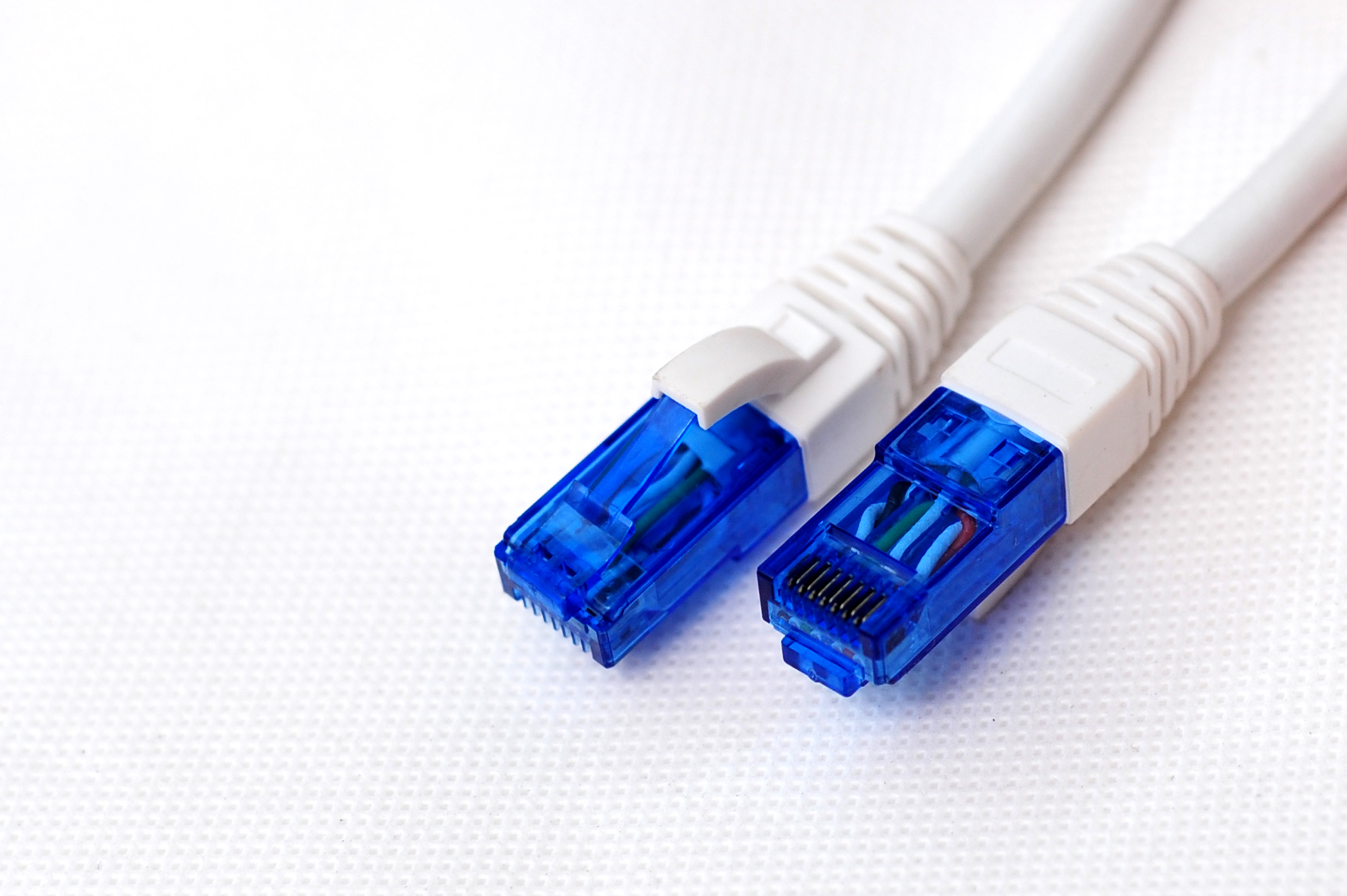 UTP CAT.6A RJ45 التصحيح الحبل