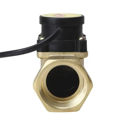 Electronic Magnetic Pipe Flow Switch Pump Small Flow Switch Price