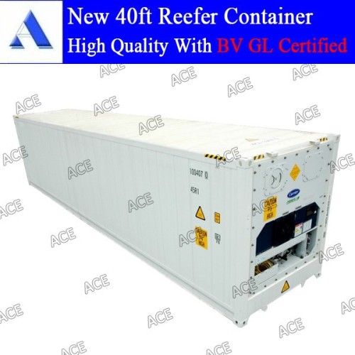 Daikin/carrier/thermo King Reefer Container Price, High Quality Daikin