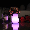 PE Best Quality Promotional Glowing Led Flower Pots