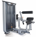 Commercial Gym Exercise Equipment Back Extension