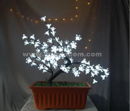 Blum Blossom Light (IL109026)