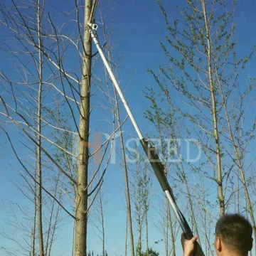 Battery Powered High Tree Trimmer