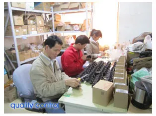 5J.J1S01.001original projector lamp for Benq W100/MP601