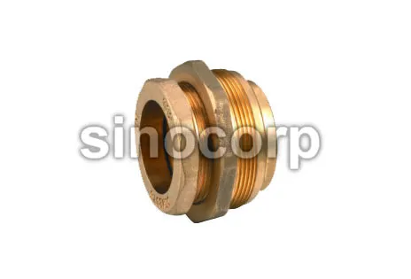 Pe & Pex Pipe Fitting with O-ring Bushing