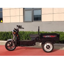 Durable Flat Panel Electric Tricycle for Daily Use