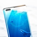 3D -изогнутый защитник экрана конфиденциальности для Huawei P60