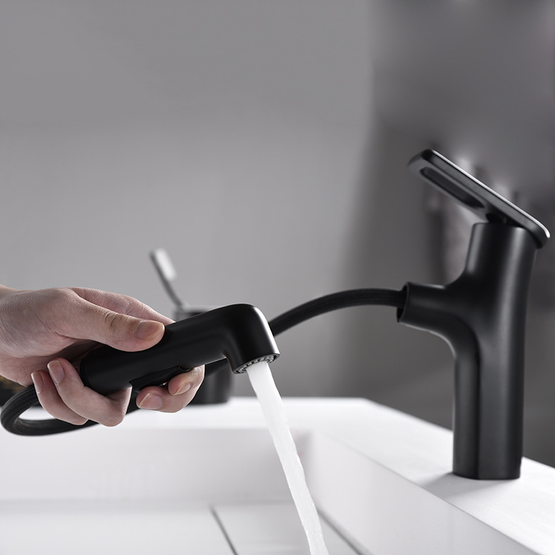 Black Single Handle Pull Faucet