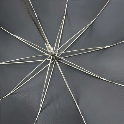 Premium Business Brand Umbrella