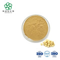 SEME NELUMBINIS Lotus Seed Extract