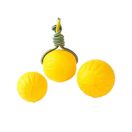 Factory Price Outdoor Durable Eco-Friendly Pet Toys