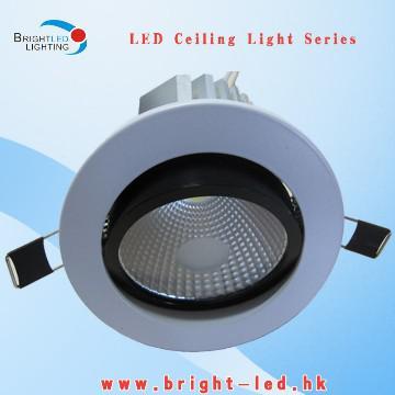 HOT 10 W Bright Ceiling Lights with CE-013