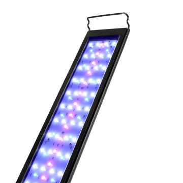 Heto Aquarium Hot Sell Aquarium LED-Lampe