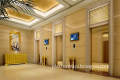 Commercial and Residential 450kg-1600kg Passenger Elevator Solutions